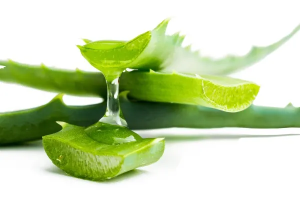 Aloe-vera-for-hair-image-1