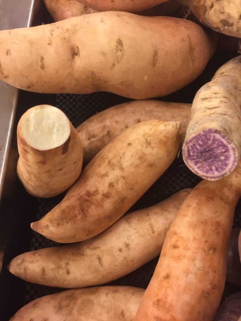 IMG_0115-768x1024 (1)