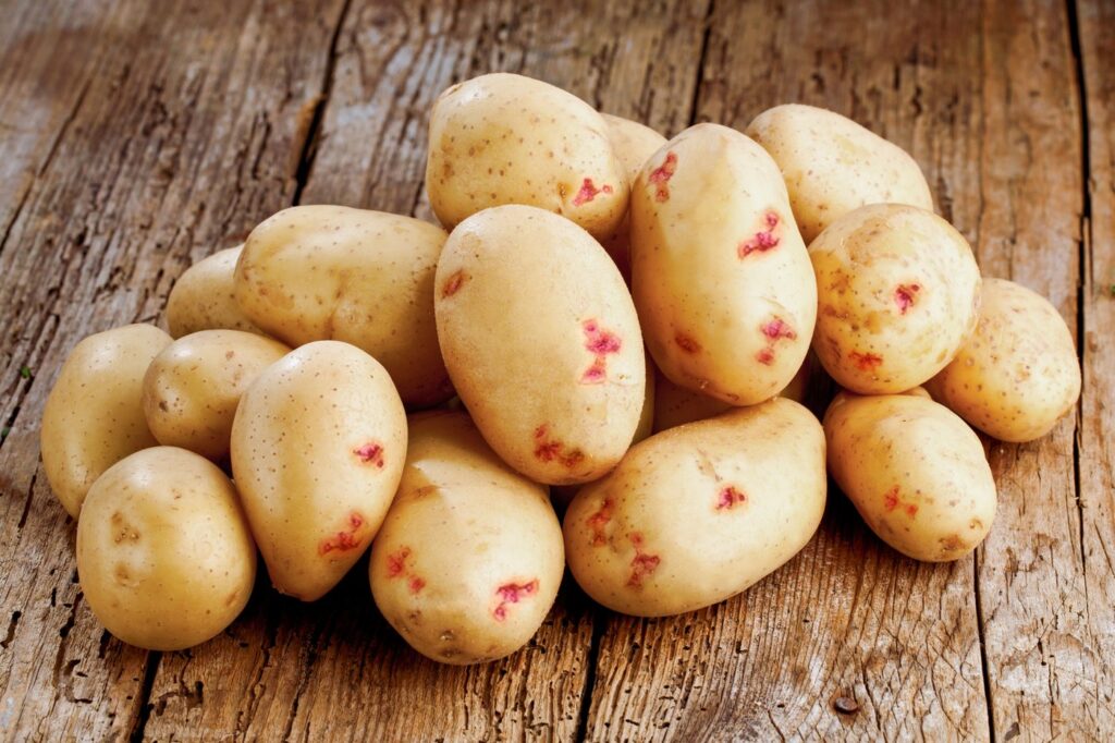 Fresh potatoes on wooden background