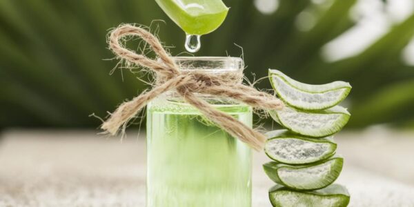 Aloe Vera Plant Gel for Hair