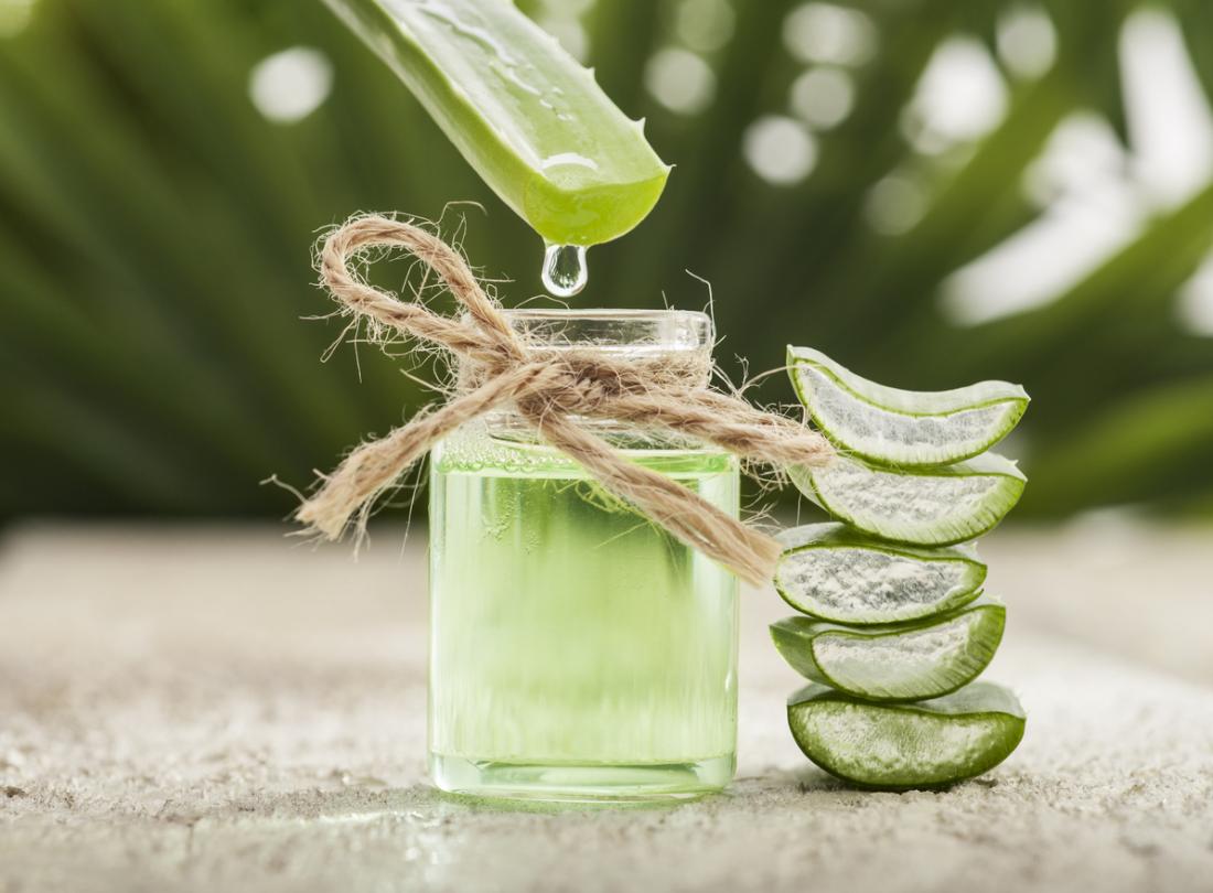 Aloe Vera Plant Gel for Hair
