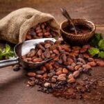 Organic Cocoa