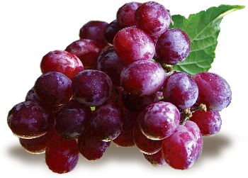 grapes1