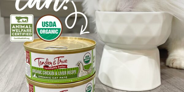 Organic Cat Food