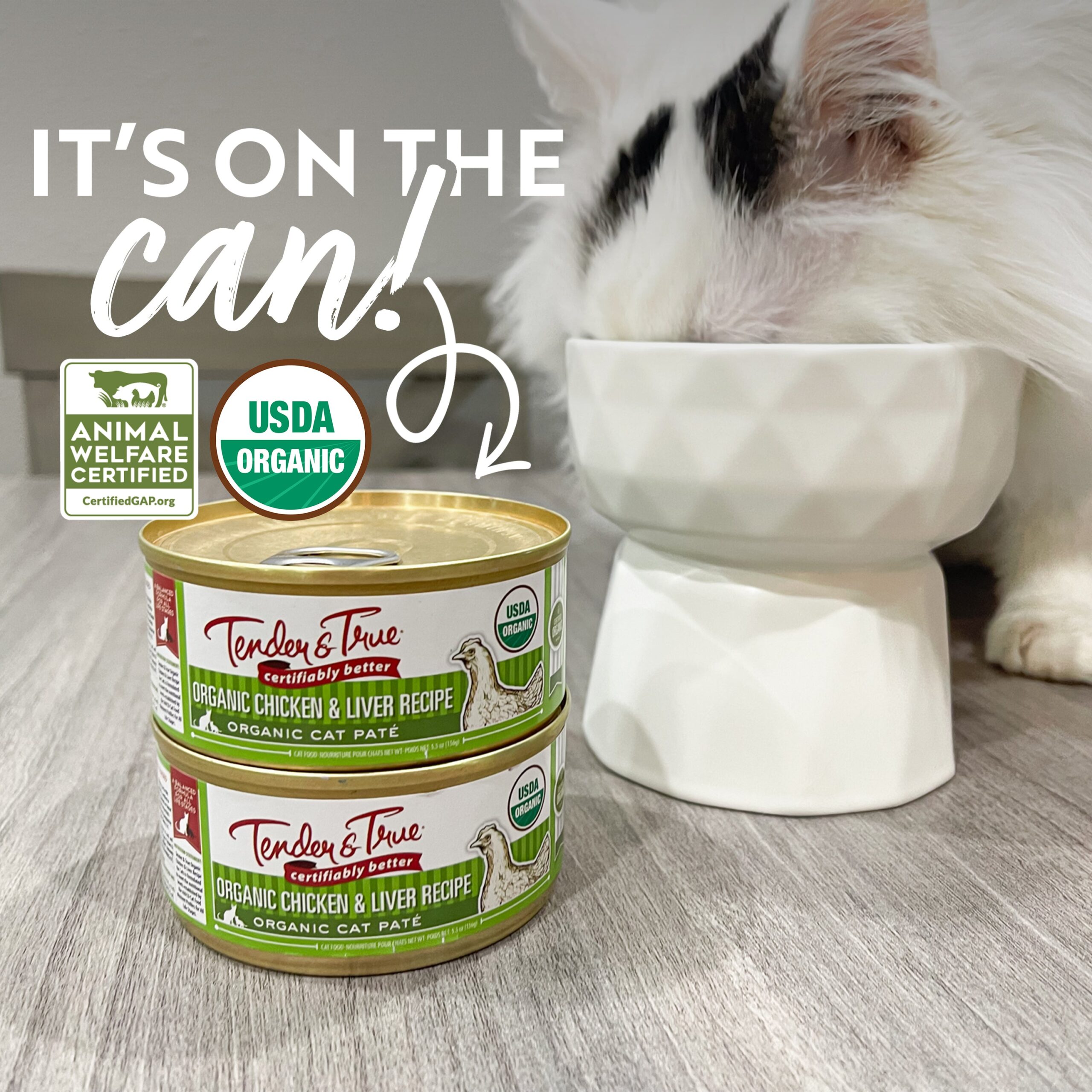 Organic Cat Food