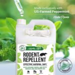 Where to Buy Peppermint Oil